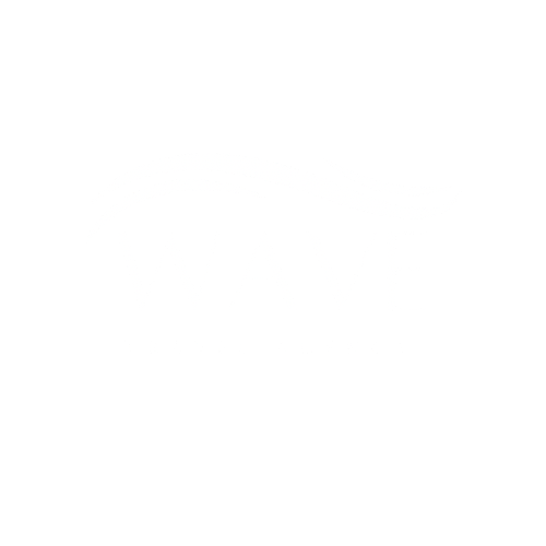 My Logo